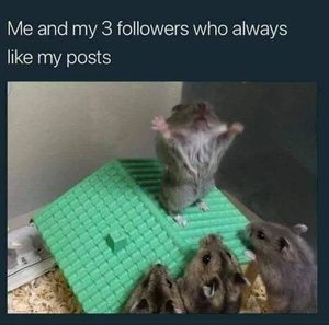 Meet your Posher, Joe